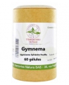 Herboristerie de Paris Gymnema sylvestre 60 gélules de 250 mg  controle de la glycémie Espritphyto
