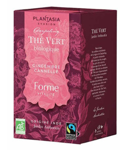Plantasia Thé vert Forme Gingembre Cannelle 18 sachets