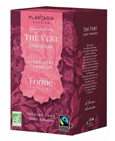 Plantasia Thé vert Forme Gingembre Cannelle 18 sachets