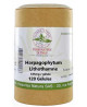 Herboristerie de Paris - Harpagophytum Lithothamne - 200 gélules