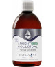 Catalyons Argent colloïdal 40 PPM 500ml