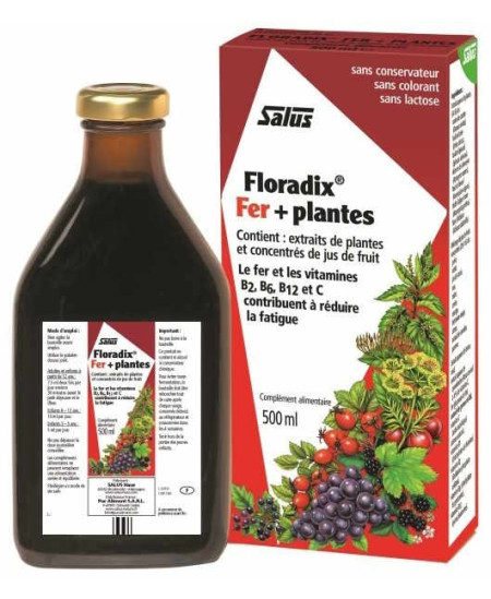 Salus Floradix fer + plantes flacon 500 ml gluconate de fer vitamines du groupe B Espritphyto