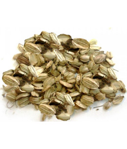 tisane Angélique fruit bio 100gr Herboristerie De Paris Espritphyto
