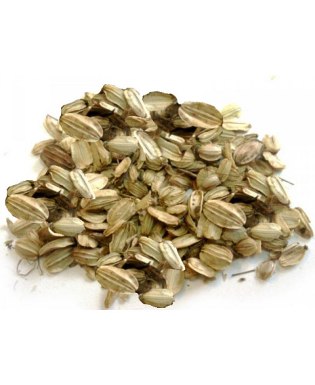 tisane Angélique fruit bio 100gr Herboristerie De Paris Espritphyto