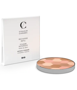 Couleur Caramel - Recharge Poudre mosaique n°232 teint clair