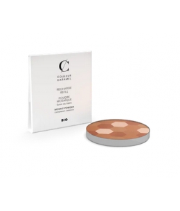 Couleur Caramel - Recharge Poudre Mosaïque No 233 - Teint mat