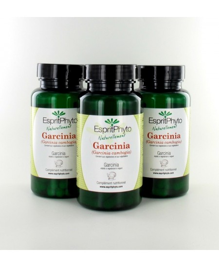 EspritPhyto - Garcinia Cambogia - Cure de 3 Mois (3 Boîtes de 90 Gélules) EspritPhyto - Garcinia Cambogia - Cure de 3 Mois (3 Boîtes de 90 Gélules)
