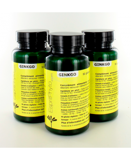 EspritPhyto - Ginkgo - Cure de 3 mois (3 boîtes de 90 gélules) EspritPhyto - Ginkgo - Cure de 3 mois (3 boîtes de 90 gélules)
