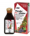 Floradix fer + plantes - flacon 250 ml - Salus contre la fatigue Espritphyto