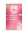 Weleda - Tisane Allaitement Fruits rouges - 20 sachets de 2 g