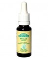 Biofloral - Elixir Mimulus n° 20 Mimule - 20 ml