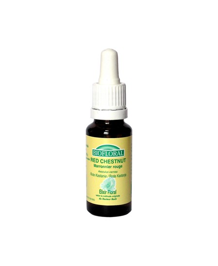 Biofloral - Elixir Red Chesnut n° 25 Marronnier rouge - 20 ml Biofloral - Elixir Red Chesnut n° 25 Marronnier rouge - 20 ml