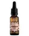 Biofloral - Elixir Hornbeam n° 17 Charme - 20 ml