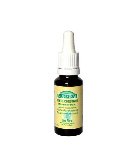 Biofloral - Elixir White Chesnut n° 35 Marronnier blanc - 20 ml Biofloral - Elixir White Chesnut n° 35 Marronnier blanc - 20 ml