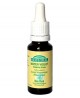 Biofloral - Elixir Water Violet n° 34 Violette d'eau - 20 ml