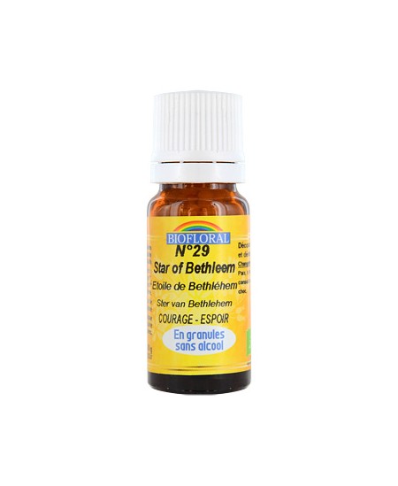 Biofloral - Elixir Star of Bethléem n°29 Etoile de Bethléem en granules - 10 gr Biofloral - Elixir Star of Bethléem n°29 Etoile de Bethléem en granules - 10 gr