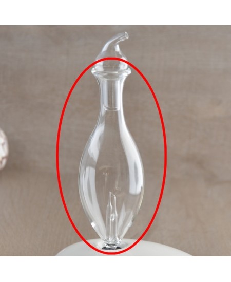 Zen'Arôme - Verrerie pour diffuseur d'huiles essentielles DAN Zen'Arôme - Verrerie pour diffuseur d'huiles essentielles DAN