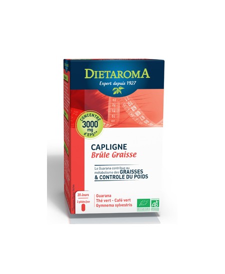 Meilleur remède pour calorie flageolet