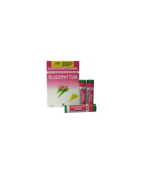 Holistica - Oligophytum Cuivre Or Argent - 3 tubes de 100 micro comprimés Holistica - Oligophytum Cuivre Or Argent - 3 tubes de 100 micro comprimés