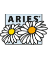 Aries